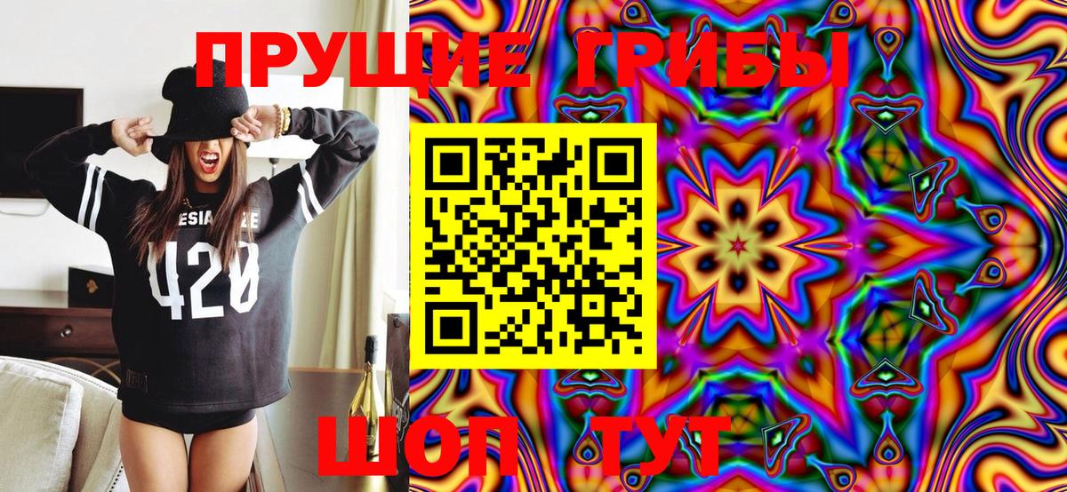 Псилоцибиновые грибы MAGIC MUSHROOMS Бор