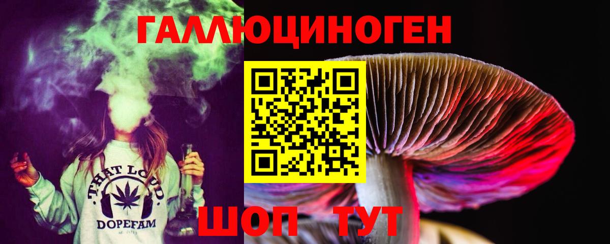Бор  Псилоцибиновые грибы прущие грибы  Псилоцибиновые грибы GOLDEN TEACHER  Вход с VPN 