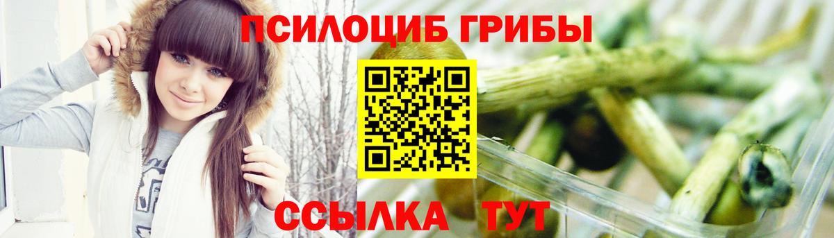 Бор  Галлюциногенные грибы мицелий  Вход с VPN  Псилоцибиновые грибы GOLDEN TEACHER 